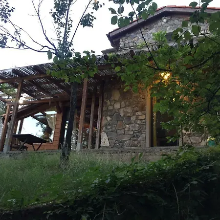 Chiosa